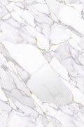 Light Gold Marble Look PVC Wall Panel – 4x8 ft UV Coated, Waterproof & Fire Rated (32 sq. ft)